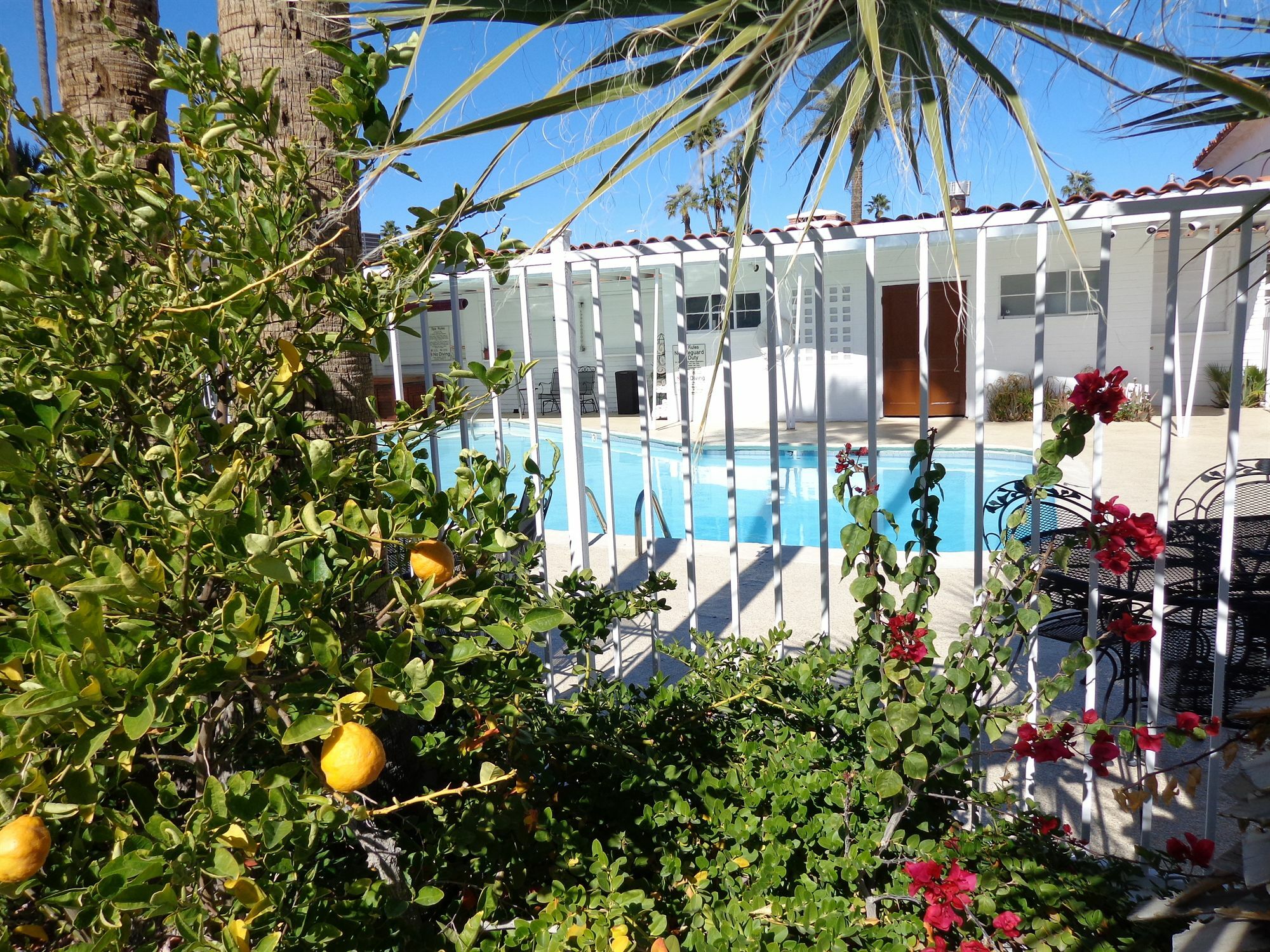 Historic Coronado Motor Hotel By Oyo Yuma Eksteriør billede